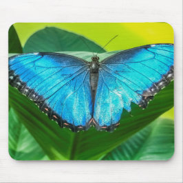 Blue Morpho Butterfly Floral Natuur Art Muismat