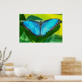 Blue Morpho Butterfly Floral Natuur Art Poster (Keuken)