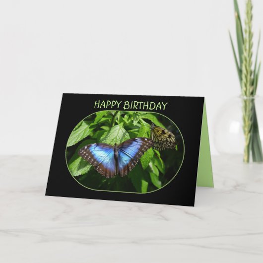 Blue Morpho Butterfly Happy Birthday Kaart (Voorkant)