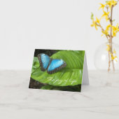 Blue Morpho Butterfly Kaart (Gele Bloem)