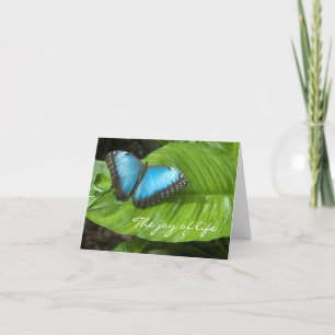 Blue Morpho Butterfly Kaart