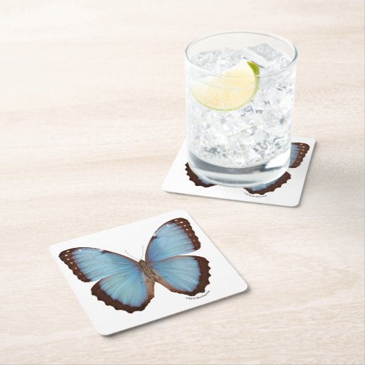 Blue Morpho Butterfly Kartonnen Onderzetters (Insitu)