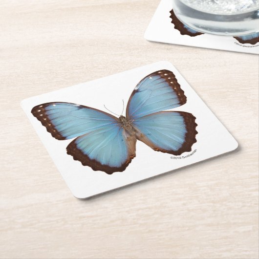 Blue Morpho Butterfly Kartonnen Onderzetters (Schuin)