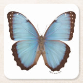 Blue Morpho Butterfly Kartonnen Onderzetters (Voorkant)