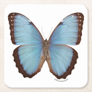 Blue Morpho Butterfly Kartonnen Onderzetters