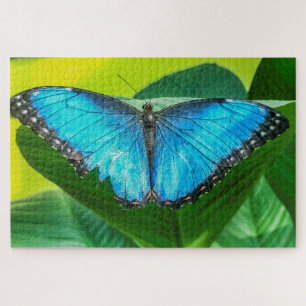 Blue Morpho Butterfly Legpuzzel