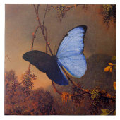 Blue Morpho Butterfly, mooie kunst, Tegeltje (Voorkant)