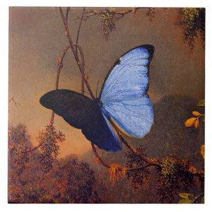 Blue Morpho Butterfly, mooie kunst, Tegeltje