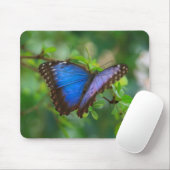 Blue Morpho Butterfly Muismat (Met muis)