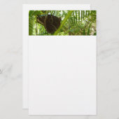 Blue Morpho Butterfly Natuur Fotografie Briefpapier (Voorkant / Achterkant)