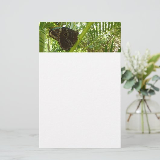 Blue Morpho Butterfly Natuur Fotografie Briefpapier (Staand voorkant)
