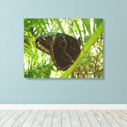 Blue Morpho Butterfly Natuur Fotografie Canvas Afdruk (Insitu (Houten vloer))