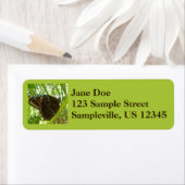 Blue Morpho Butterfly Natuur Fotografie Etiket (Insitu)