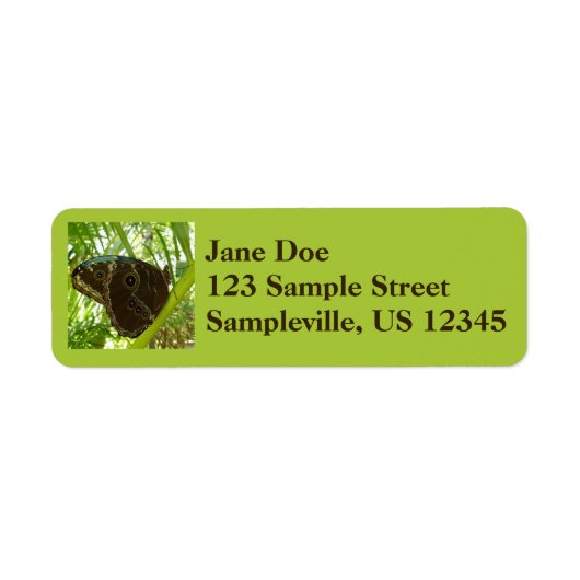 Blue Morpho Butterfly Natuur Fotografie Etiket (Voorkant)