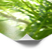 Blue Morpho Butterfly Natuur Fotografie Foto Afdruk (Hoek)