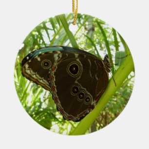 Blue Morpho Butterfly Natuur Fotografie Keramisch Ornament