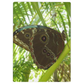 Blue Morpho Butterfly Natuur Fotografie Klembord (Achterkant)