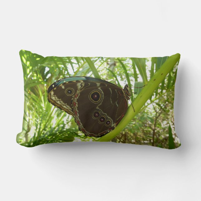 Blue Morpho Butterfly Natuur Fotografie Kussen (Voorkant)