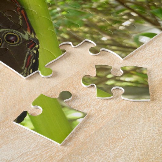 Blue Morpho Butterfly Natuur Fotografie Legpuzzel (Zijkant)