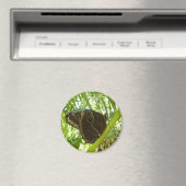 Blue Morpho Butterfly Natuur Fotografie Magneet (Insitu (Vaatwasser))