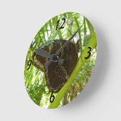 Blue Morpho Butterfly Natuur Fotografie Ronde Klok (Hoek)