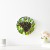 Blue Morpho Butterfly Natuur Fotografie Ronde Klok (Huis)