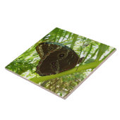 Blue Morpho Butterfly Natuur Fotografie Tegeltje (Zijkant)