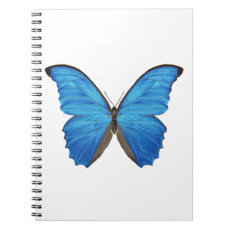 Blue Morpho Butterfly Notitieboek