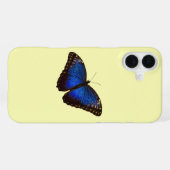 Blue Morpho Butterfly op de Canarische iPhone Hoesje (Achterkant horizontaal)