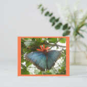 Blue Morpho Butterfly op Flower DIY Briefkaart (Staand voorkant)