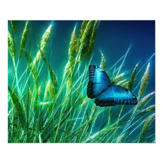 Blue Morpho Butterfly op Green Grass Foto Afdruk (Voorkant)