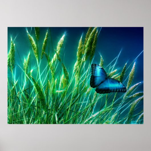 Blue Morpho Butterfly op Green Grass Poster (Voorkant)