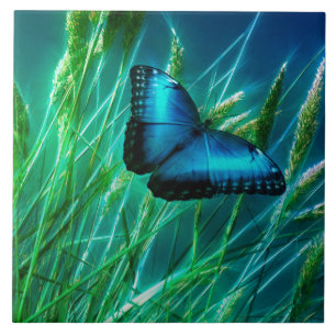 Blue Morpho Butterfly op Green Grass Tegeltje
