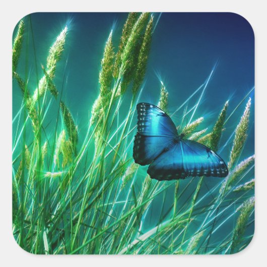 Blue Morpho Butterfly op Green Grass Vierkante Sticker (Voorkant)