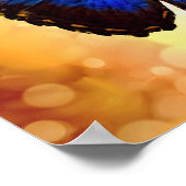 Blue Morpho Butterfly Poster (Hoek)