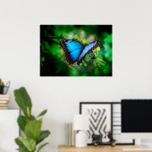 Blue Morpho Butterfly Poster (Thuiskantoor)