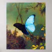 Blue Morpho Butterfly Poster (Voorkant)