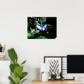 Blue Morpho Butterfly Poster (Thuiskantoor)