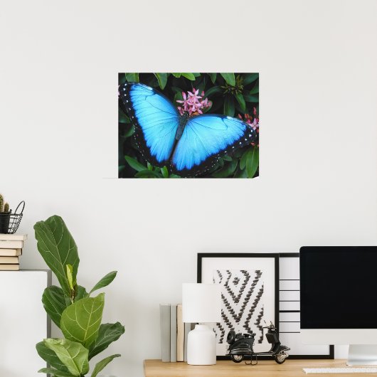 Blue Morpho Butterfly Print (Thuiskantoor)