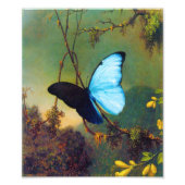 Blue Morpho Butterfly Print Foto Afdruk (Voorkant)