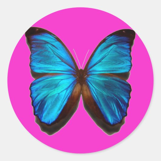 Blue Morpho Butterfly Ronde Sticker (Voorkant)
