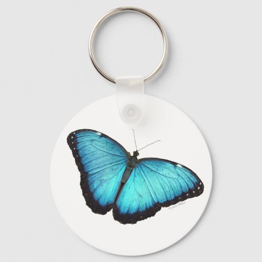 Blue Morpho Butterfly Sleutelhanger (Voorkant)