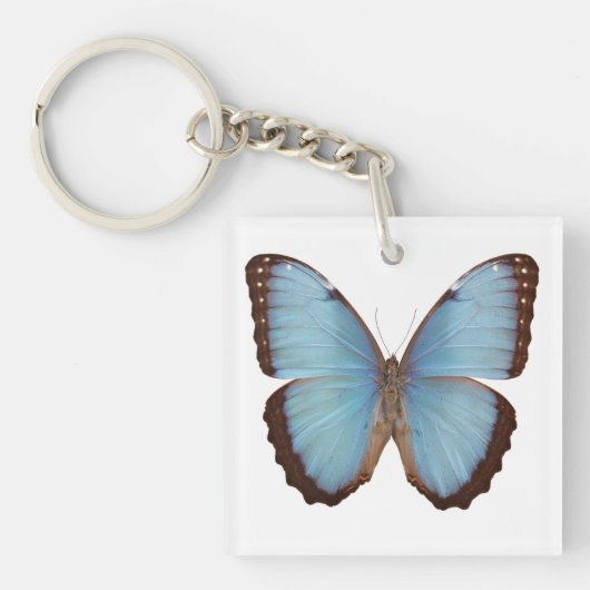 Blue Morpho Butterfly Sleutelhanger (Voorkant)