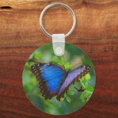 Blue Morpho Butterfly Sleutelhanger (Voorkant)