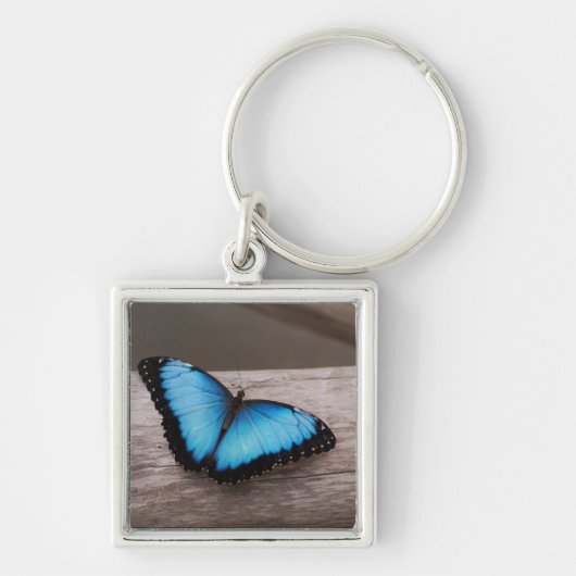Blue Morpho Butterfly Sleutelhanger (Voorkant)