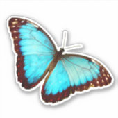 Blue Morpho Butterfly Sticker (Voorkant)