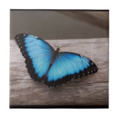 Blue Morpho Butterfly Tegeltje (Voorkant)