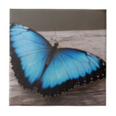 Blue Morpho Butterfly Tegeltje (Voorkant)