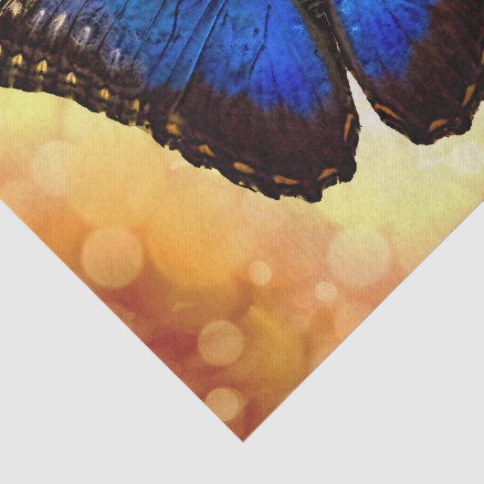 Blue Morpho Butterfly Tissuepapier (Detail)