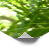 Blue Morpho Butterfly Tropische Natuur Fotografie Poster (Hoek)